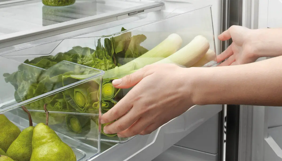 conheça 5 melhores geladeiras frost free
